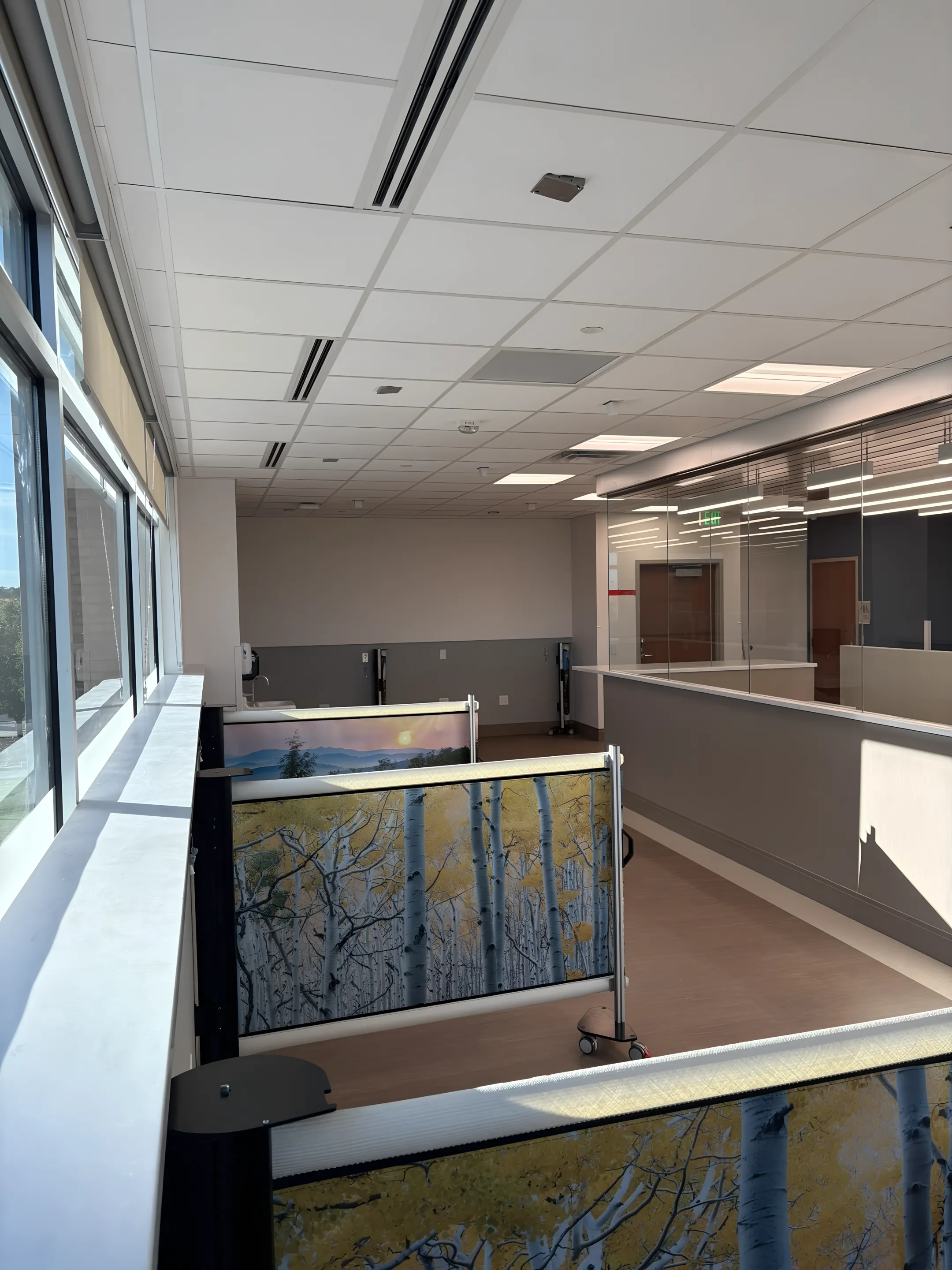 Retractable Barriers Wall Mounted