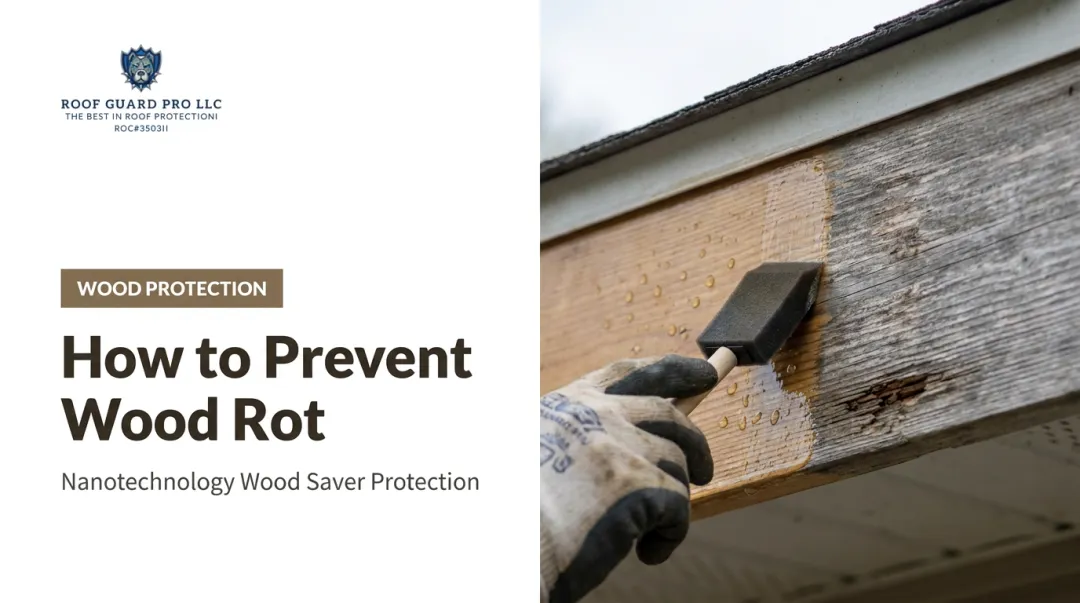 How to Prevent Wood Rot