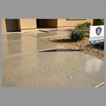 Protected concrete driveway and walkway