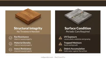 Ipe deck cosmetic versus structural maintenance two-category comparison infographic