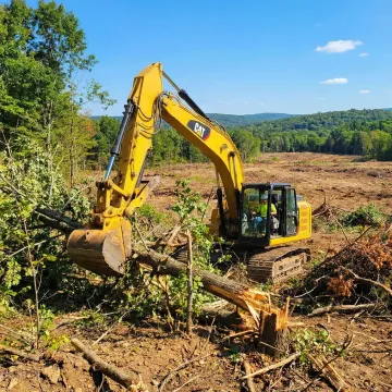 Professional land clearing equipment preparing construction site with excavator removing trees