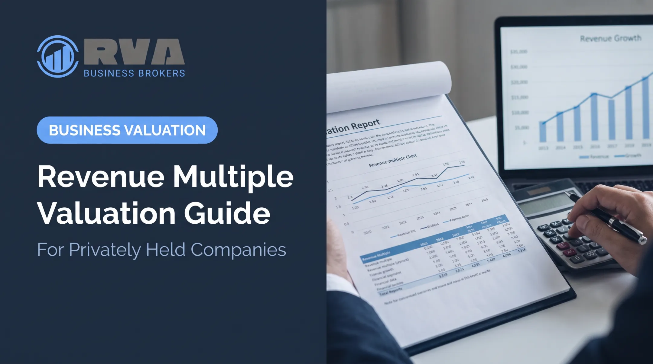 Revenue Multiple Valuation Guide