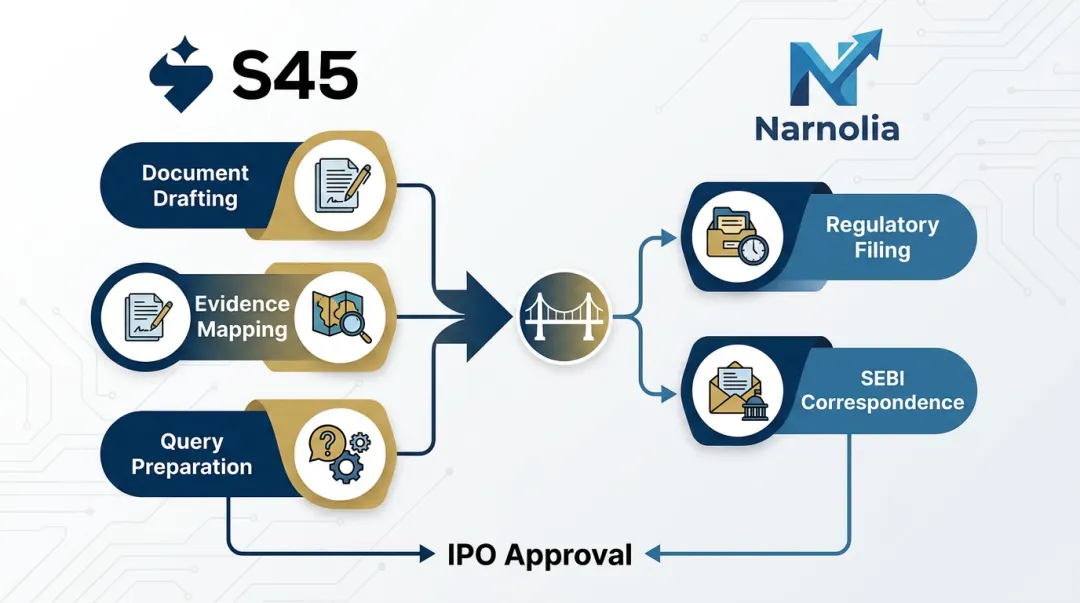 S45 and Narnolia IPO document preparation and regulatory filing division of responsibilities