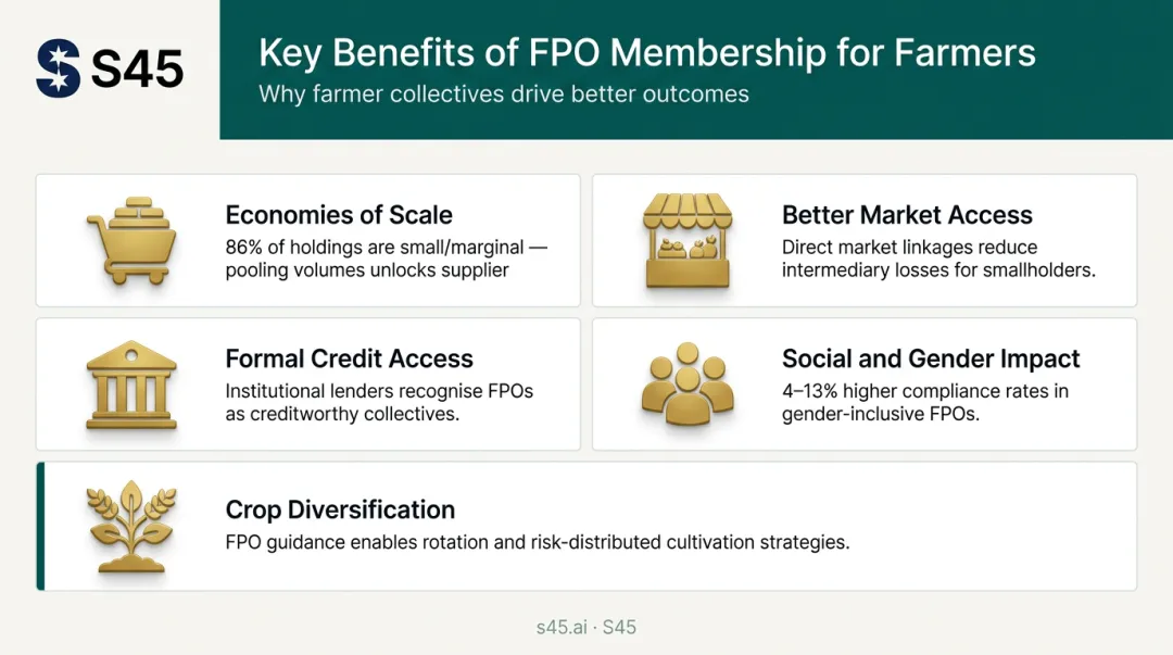 Key benefits of FPO membership for Indian smallholder farmers visual summary