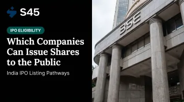 Which Companies Can Issue Shares to the Public