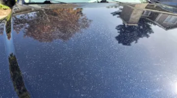 Water spots and mineral etching on car paint parked in sun