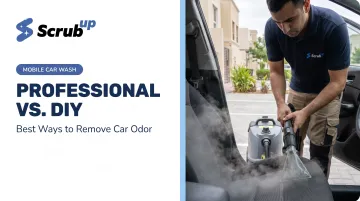 Professional vs. DIY: Best Ways to Remove Car Odor