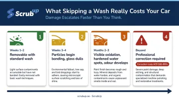 Car neglect damage timeline from weeks one through months beyond with progression stages