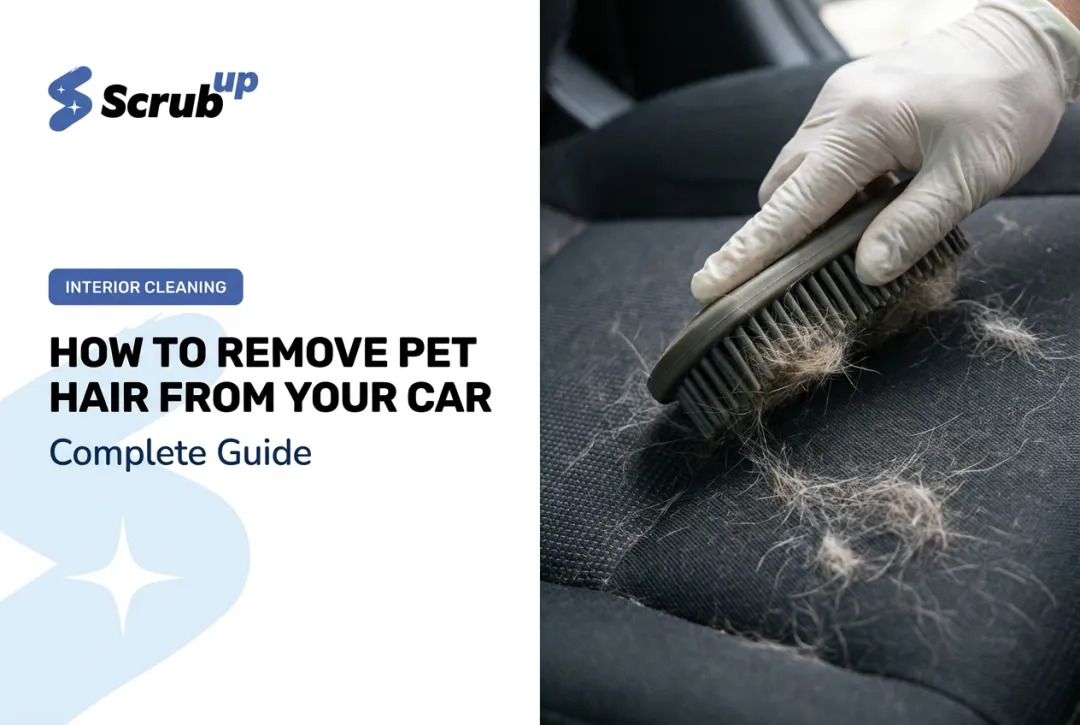 How to Remove Pet Hair from Your Car: Complete Guide