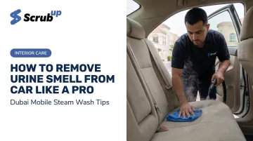 How to Remove Urine Smell from Car Like a Pro
