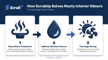 Three-step mould removal process from moisture source to prevention