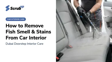 How to Remove Fish Smell & Stains From Car Interior