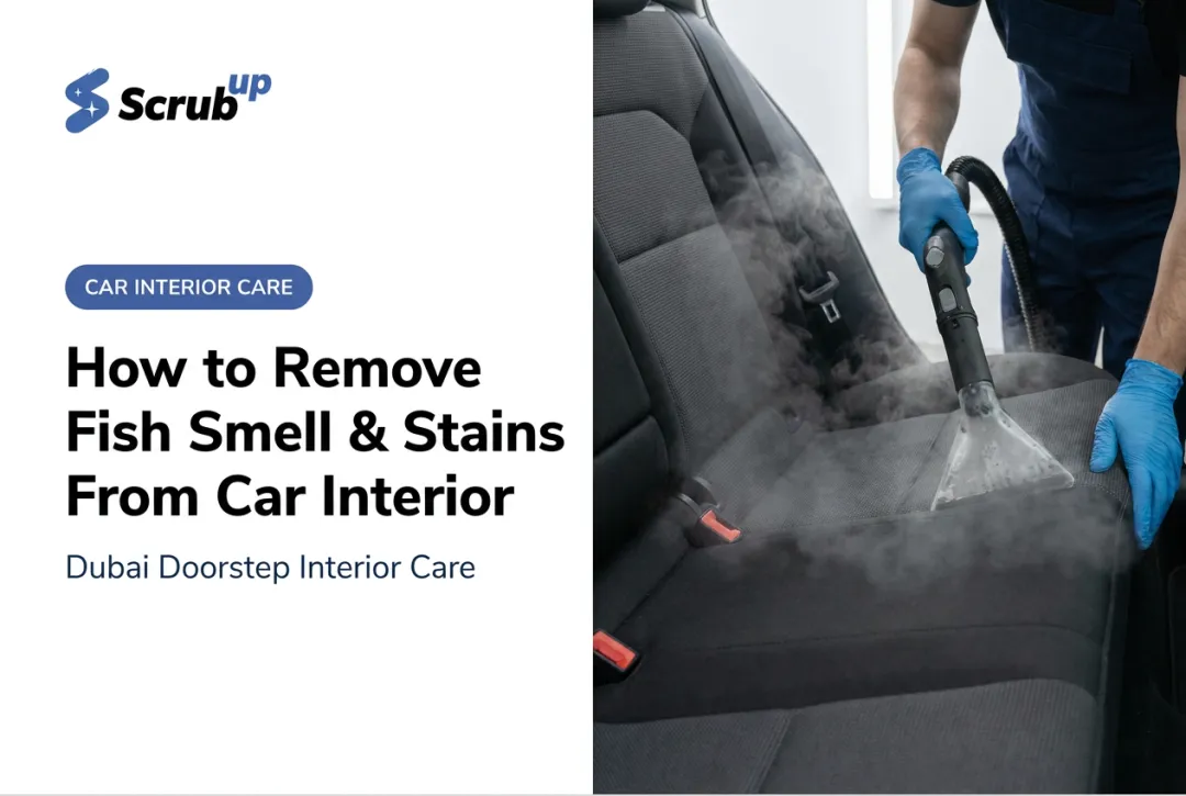 How to Remove Fish Smell & Stains From Car Interior