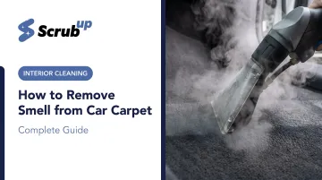 How to Remove Smell from Car Carpet: Complete Guide
