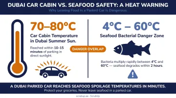 Car cabin temperature versus seafood safety threshold comparison infographic Dubai heat