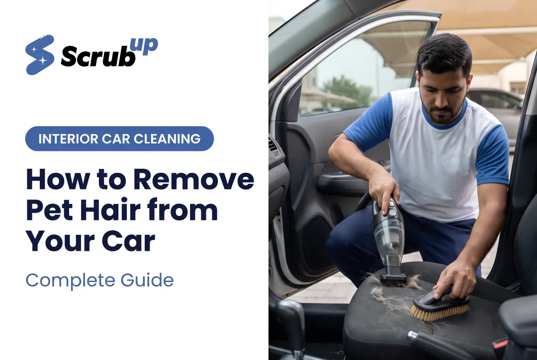How to Remove Pet Hair from Your Car: Complete Guide