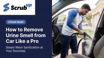 How to Remove Urine Smell from Car Like a Pro