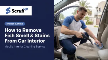 How to Remove Fish Smell & Stains From Car Interior