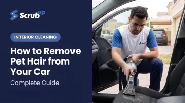 How to Remove Pet Hair from Your Car: Complete Guide