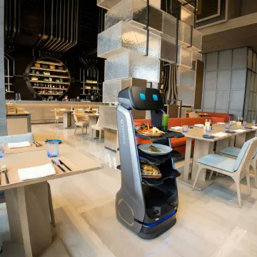 Robot Rental and Hire Services