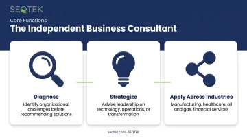 Three core independent consultant roles from diagnosis to cross-industry advisory