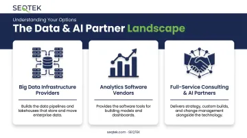 Three-tier data science market breakdown of infrastructure software and consulting providers