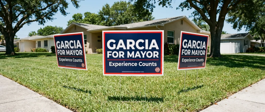 Political Campaigns