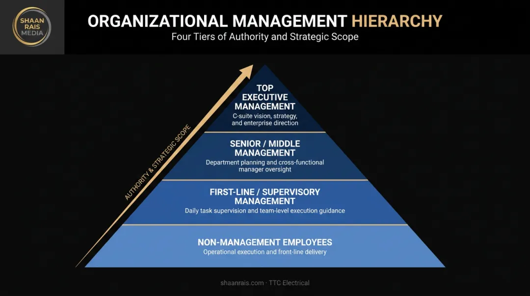 Four-level organizational hierarchy pyramid from executive to non-management employees