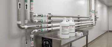 Pharmaceutical & Biotech