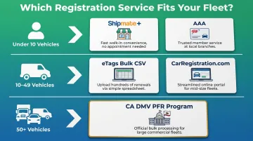 Fleet size to registration service match guide for Vista California businesses