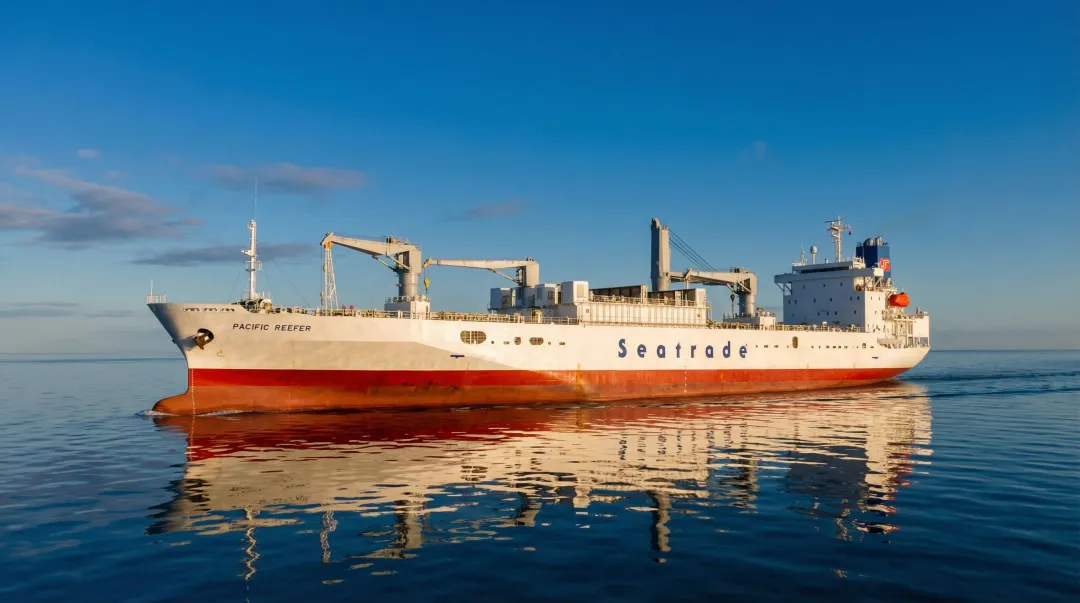 Refrigerated cargo ship reefer vessel transporting perishable goods across ocean