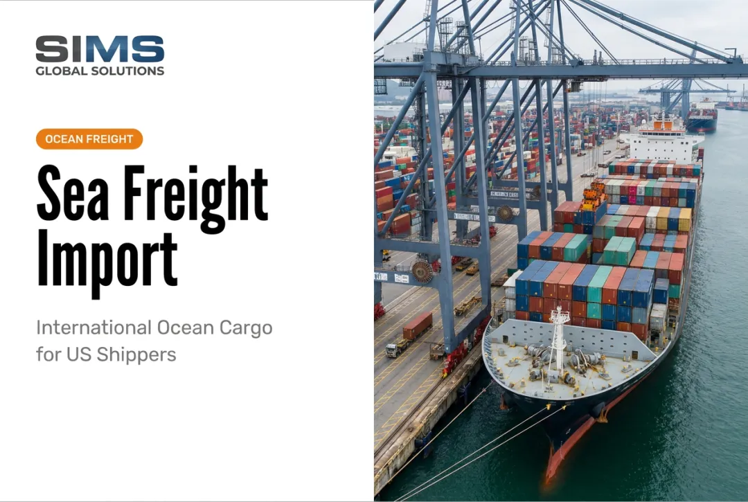 Sea Freight Import