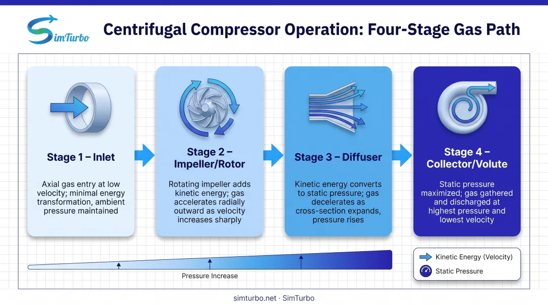 Centrifugal compressor four-stage flow path from inlet through impeller diffuser to collector