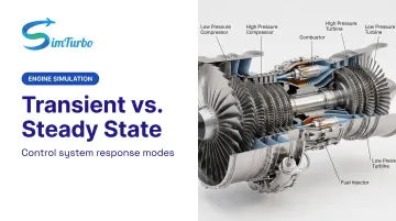 Transient vs. Steady State