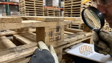 Warehouse worker inspecting pallet stamp during ISPM 15 verification process