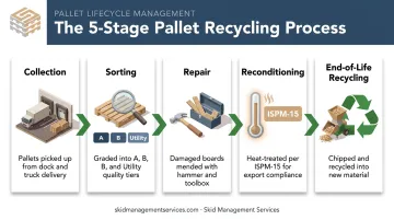 5-stage pallet recycling process from collection to end-of-life recycling
