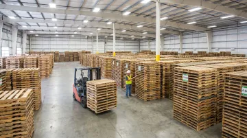 Large-scale pallet reconditioning facility with sorted stacked recycled wooden pallets