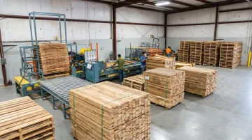 Large-scale pallet manufacturing facility with automated nailing lines and lumber processing equipment