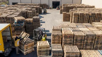 Large-scale wooden pallet recycling and recovery facility with stacked pallets