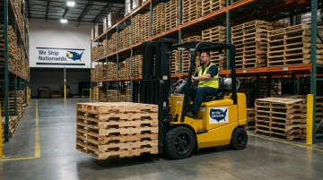 Manufacturing & Distribution