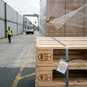 International Export & Logistics