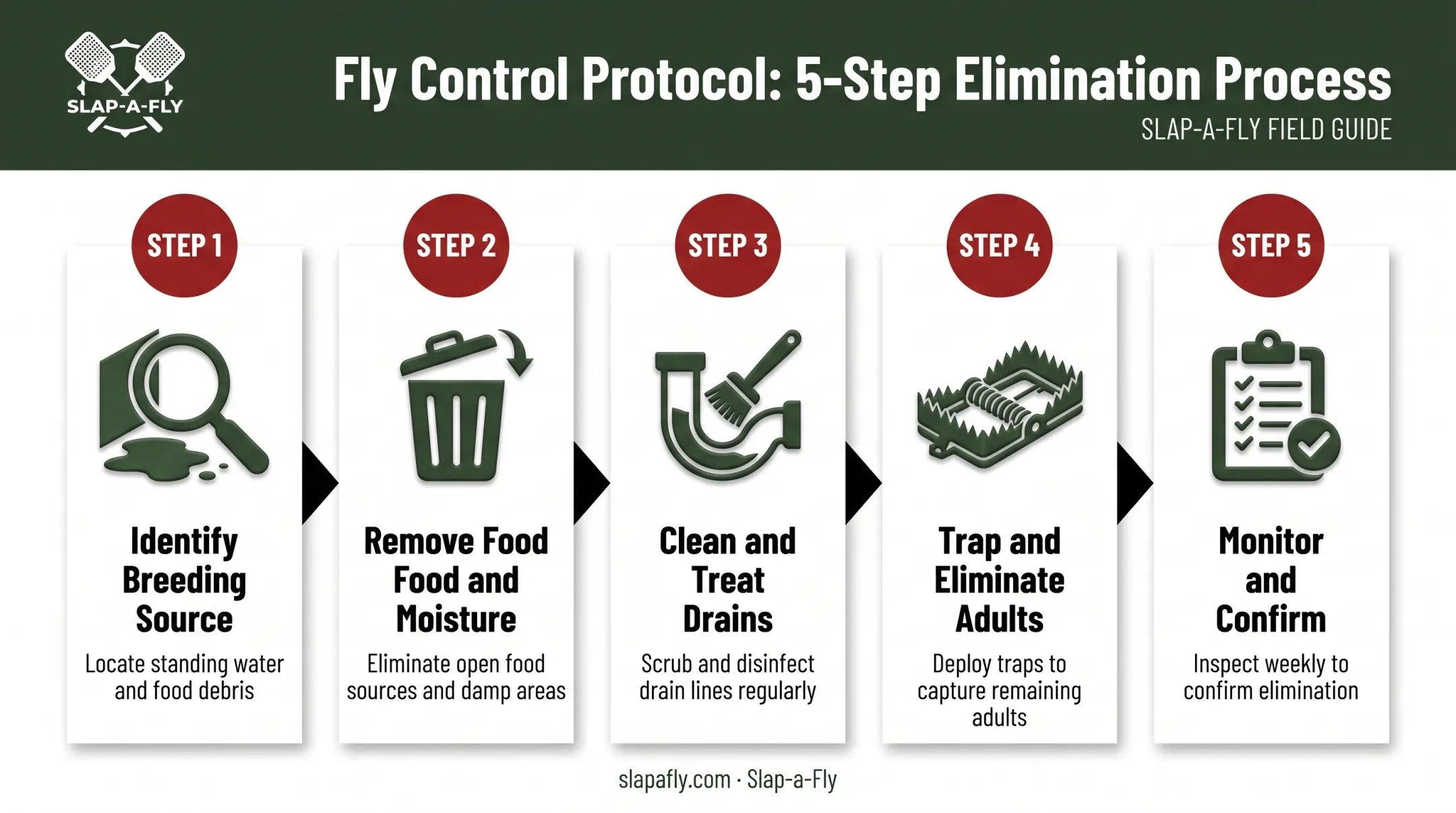 5-step process to eliminate small kitchen flies from source to monitoring