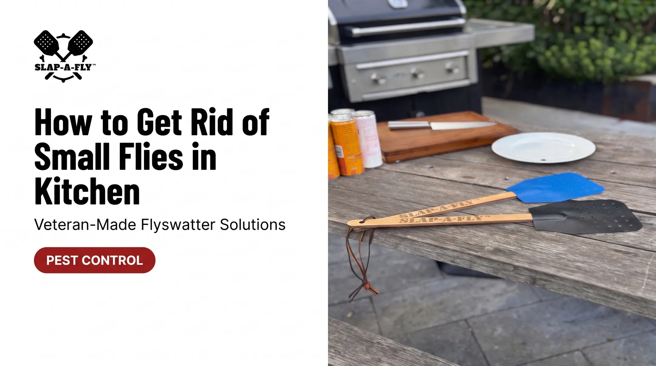 How to Get Rid of Small Flies in Kitchen