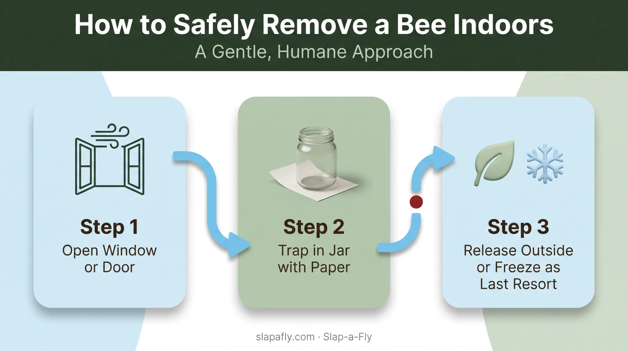 Three-step safe bee removal process from window to release