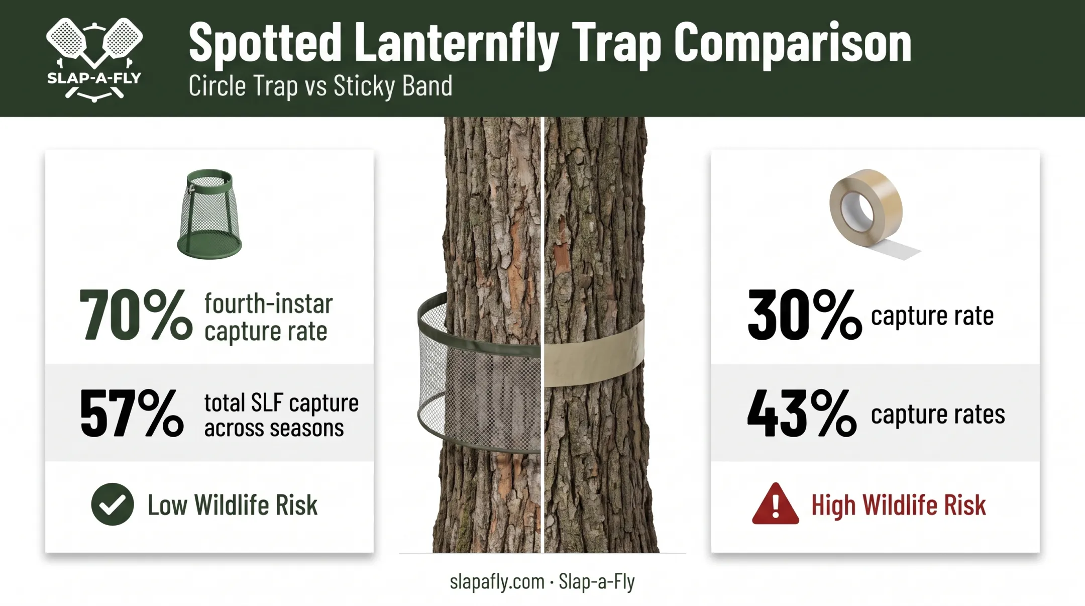 Circle trap versus sticky band comparison showing capture rates and wildlife risk