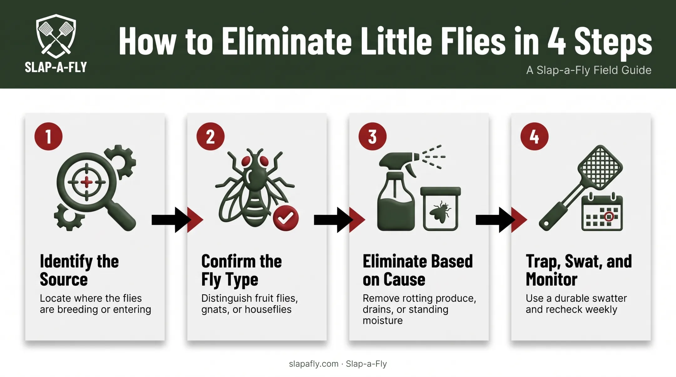 Four-step process to identify and eliminate household little flies