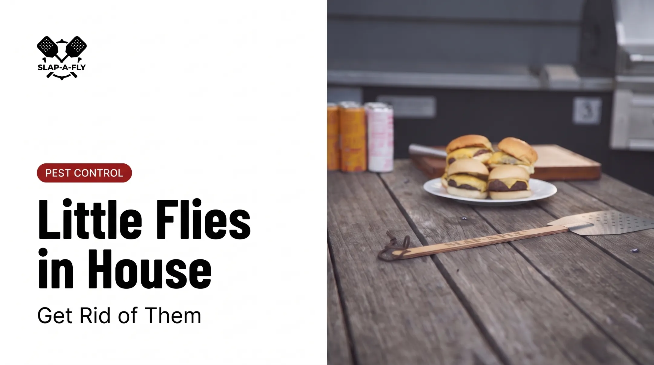 Little Flies in House: Get Rid of Them