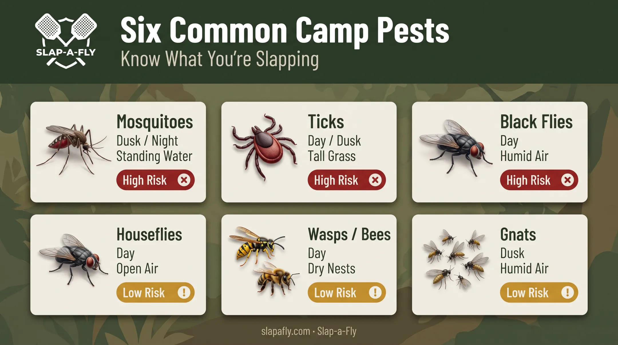 Common camping pest types and their behavior patterns comparison chart