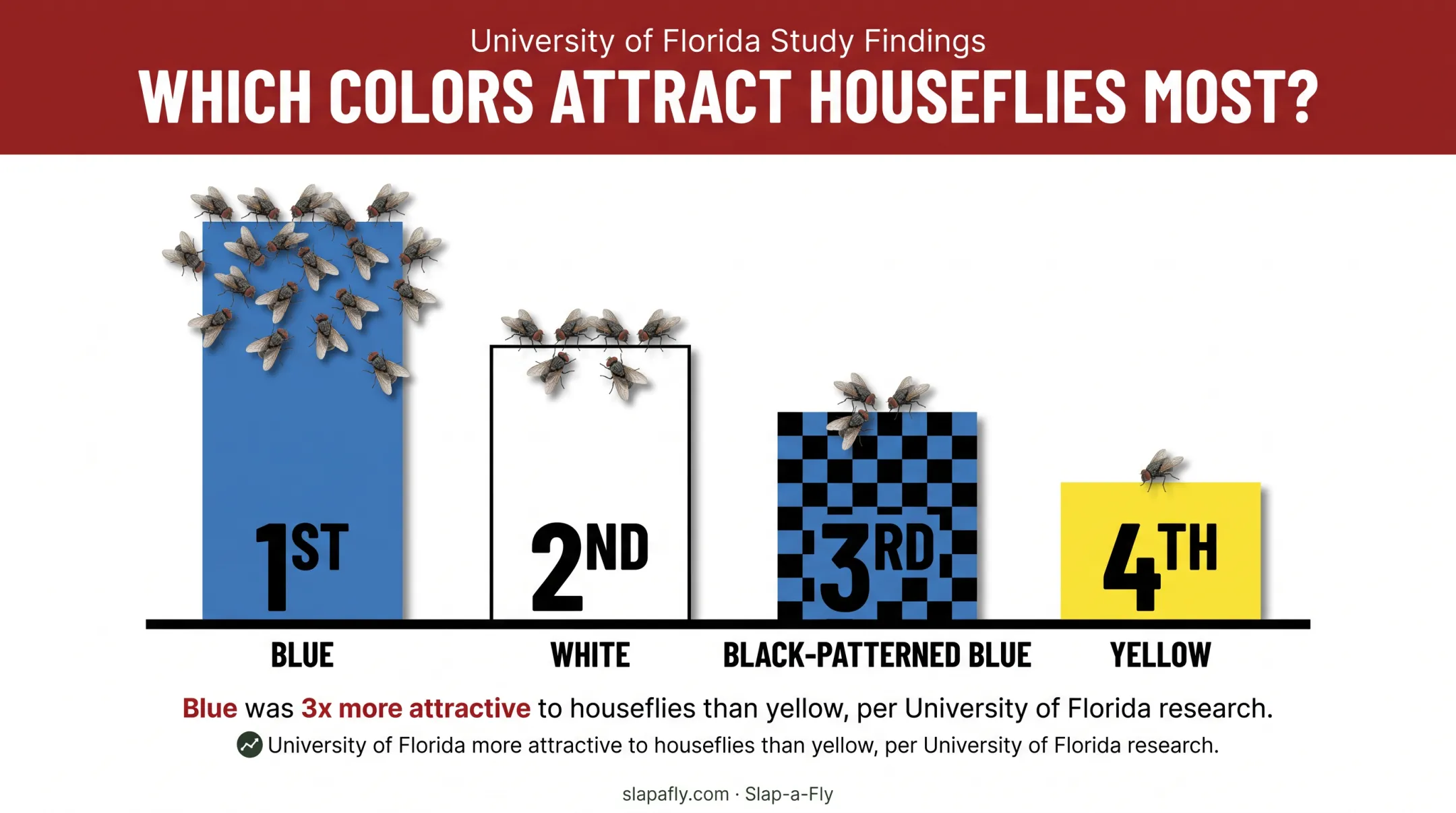 Fly color attraction ranking chart from blue to yellow