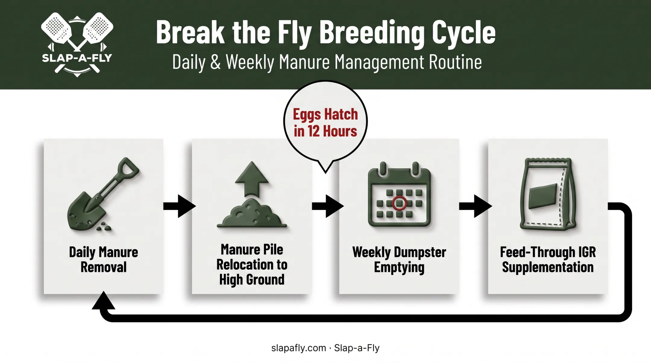 Manure management daily routine timeline reducing fly breeding cycle
